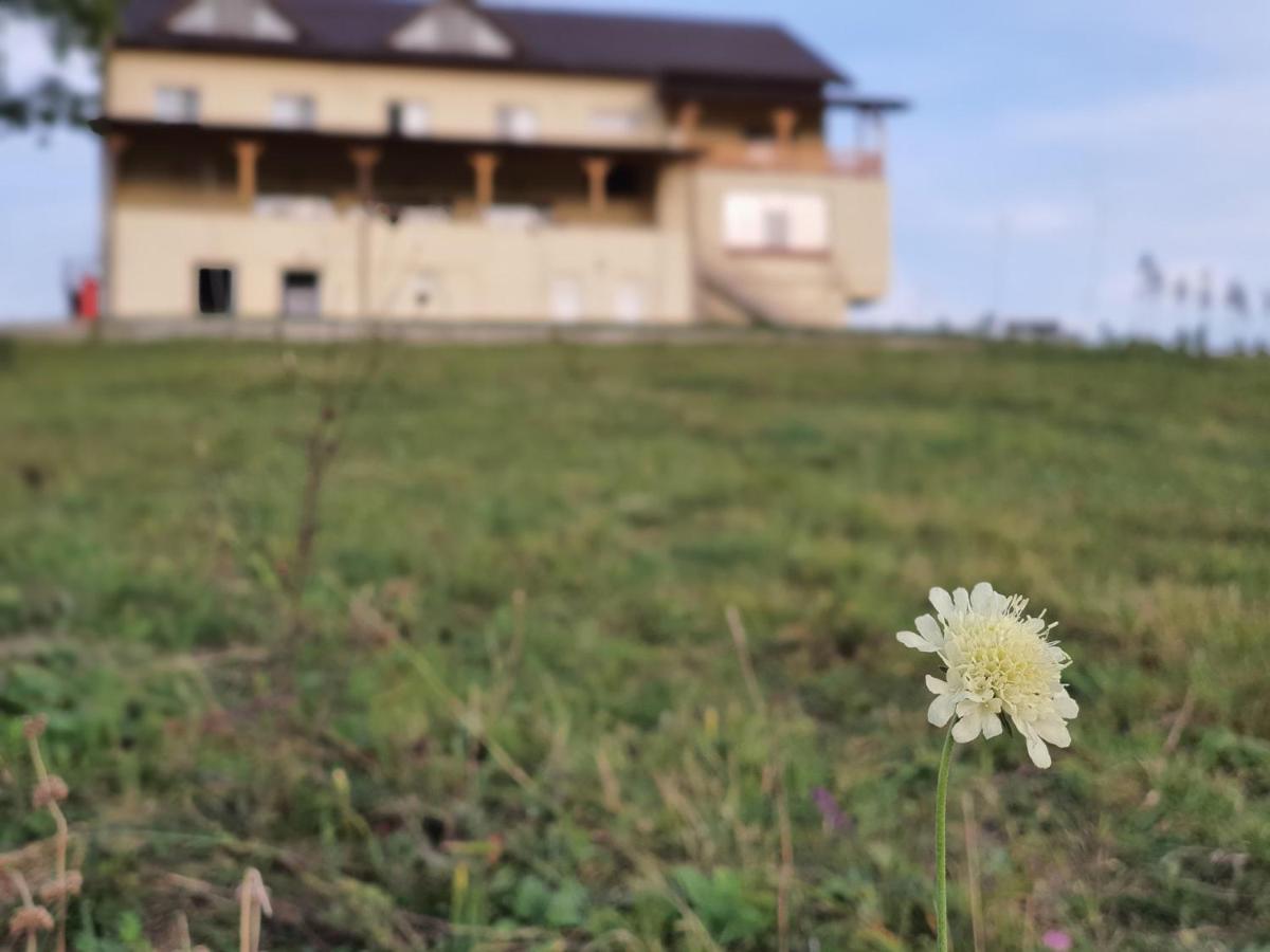 Motel Prislop Haţeg Buitenkant foto