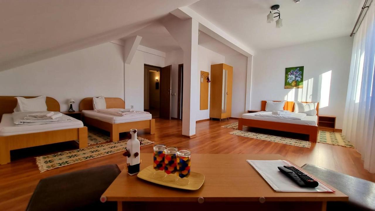 Motel Prislop Haţeg Buitenkant foto